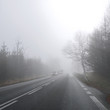 Road, cars and fog