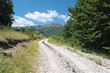 Mountain Trail Mountain Trail