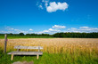Wooden Bench