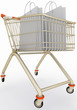 Shopping cart with paper bags