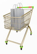 Shopping cart with paper bags