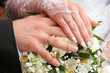 Two hands