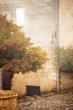 Saint-Emilion in mist