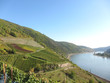 Foto: Der große Rhein Der große Rhein