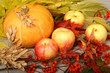 Pumpkin and apples
