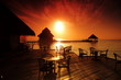 tropical cafe