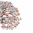 albero Autunno