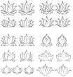 Lotus Set 2
