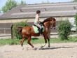 Reiterin und Pony 6