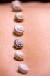 Muscheln