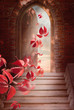 autumn leaves fall through the open door