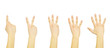 hands