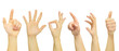 hands