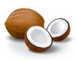 Illustration: Coconuts Coconuts