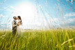 Kissing bride and groom in sunny grass Kissing bride and groom in sunny grass