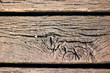 Holzbohle