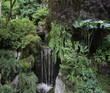 Video: Natures Beauty Natures Beauty