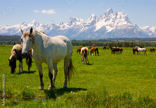 Photo: Grand Teton National Park Grand Teton National Park