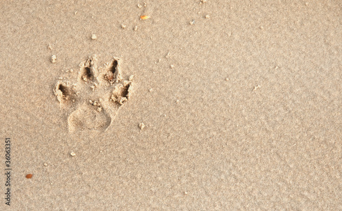 Foto: Footprint Footprint