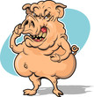 Angry Hog