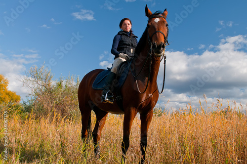 Foto: Pretty girl riding horse front of reed Pretty girl riding horse front of reed