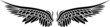 Wing 03
