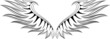 Wing 04