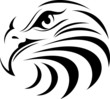 Eagle Face 09