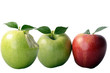 Two green and one red apple