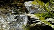 Wasserfall
