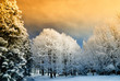 sunset in mountain with orange sky sunset in mountain with orange sky