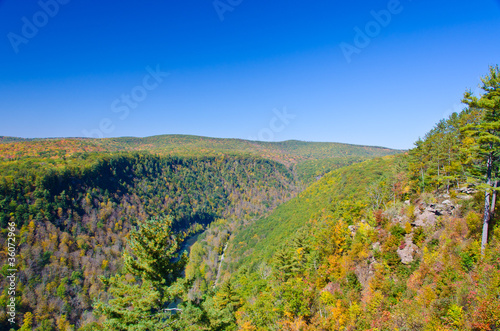 Photo: Grand Canyon of PA - view from Leonard Harrison State Park Grand Canyon of PA - view from Leonard Harrison State Park