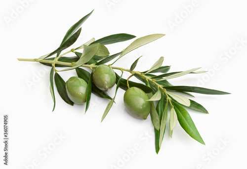 Photo: Olive Olive