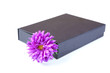 gift box with flower isolated gift box with flower isolated