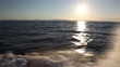 Video: Left side fast waves with CANON Mkll Left side fast waves with CANON Mkll