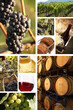 Photo: wine wine
