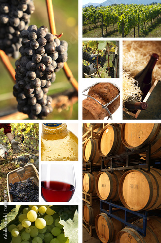 Photo: wine wine
