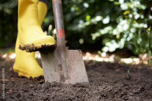 Photo: Person digging in garden Person digging in garden