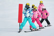 Photo: girls on the ski girls on the ski
