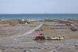baie de cancale en bretagne baie de cancale en bretagne