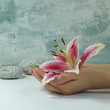 Hand mit Blüte