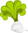 hat onion fantasy party vector illustration