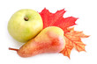 Ripe apple and pear with autumn leaves