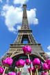 Foto: Tour Eiffel, Parigi Tour Eiffel, Parigi