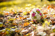 wedding bouquet