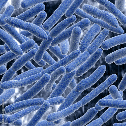 Illustration: Bacteria. Bacteria.