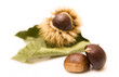 Chestnuts
