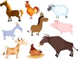 farm animal set