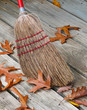 Broom And Fallen Leafs