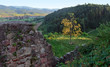 around Hochburg Emmendingen